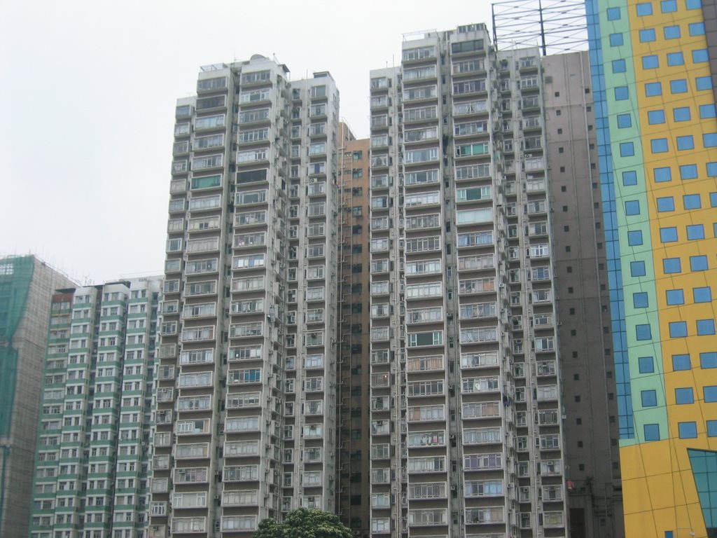 香港写真1050