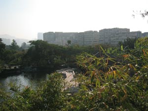 九龍寨城公園の写真